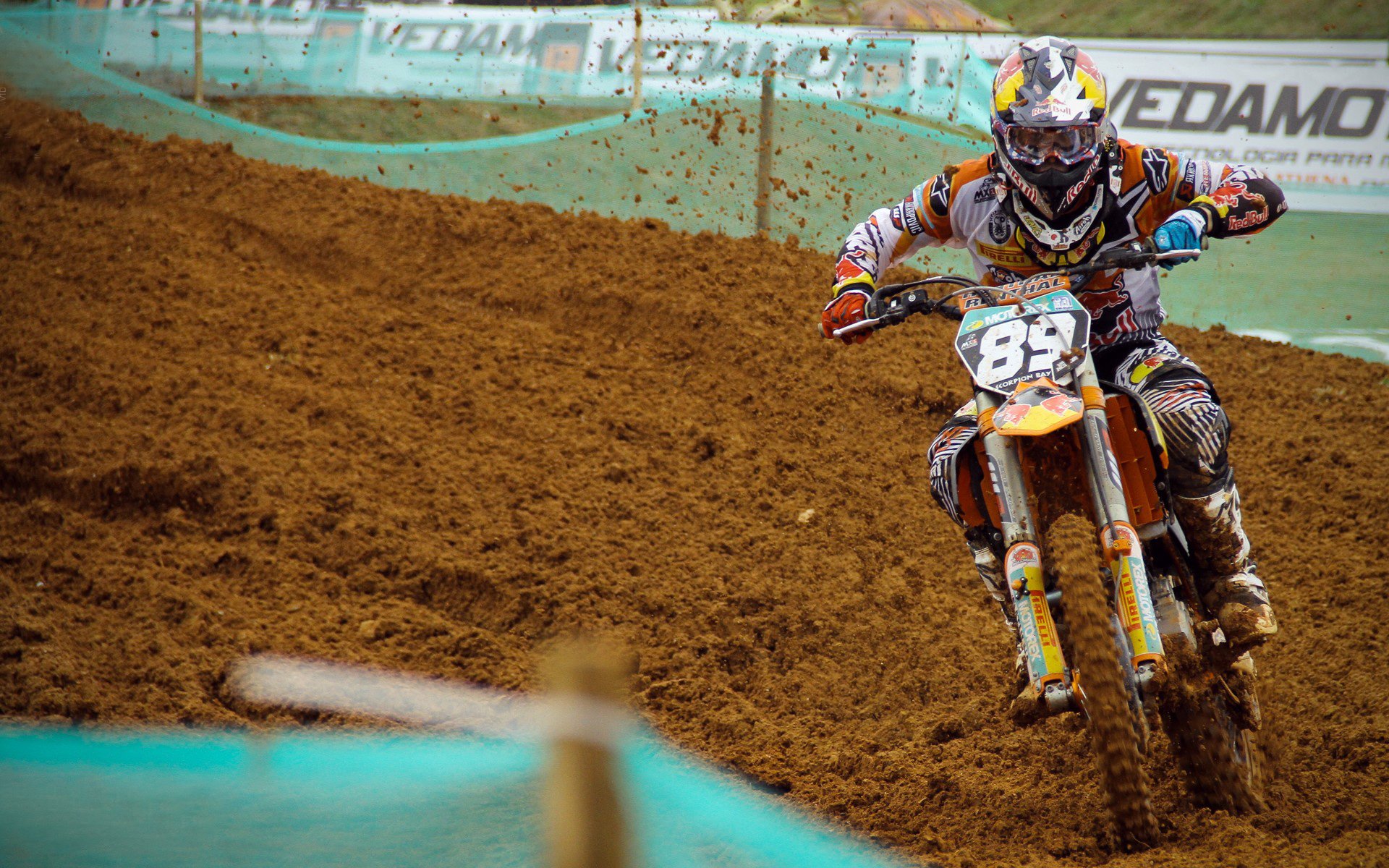 国际车迷狂欢节:不同国家的狂热场面,国际车王